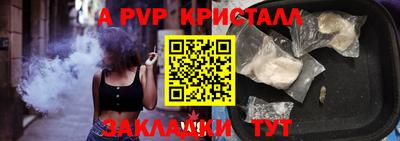 крисы Тула
