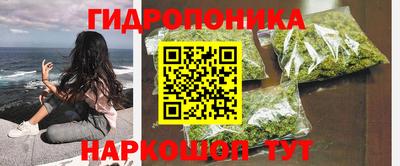 крисы Тула