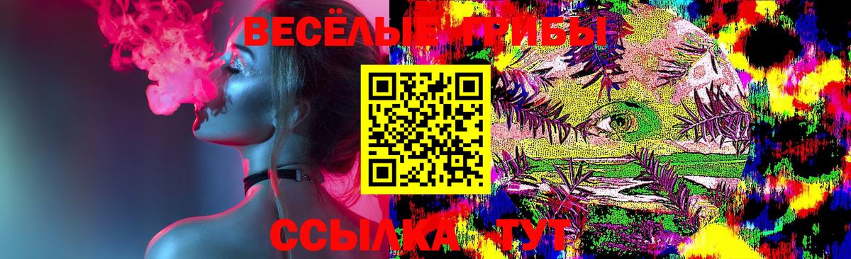 Галлюциногенные грибы Psilocybine cubensis Обнинск